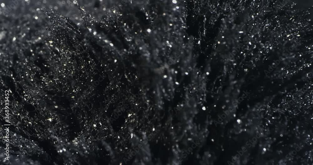 Motion Metallic Powder Under the Influence of a Magnetic Feld. Macro. Motion Metallic Powder Under the Influence of a Magnetic Feld. Macro.