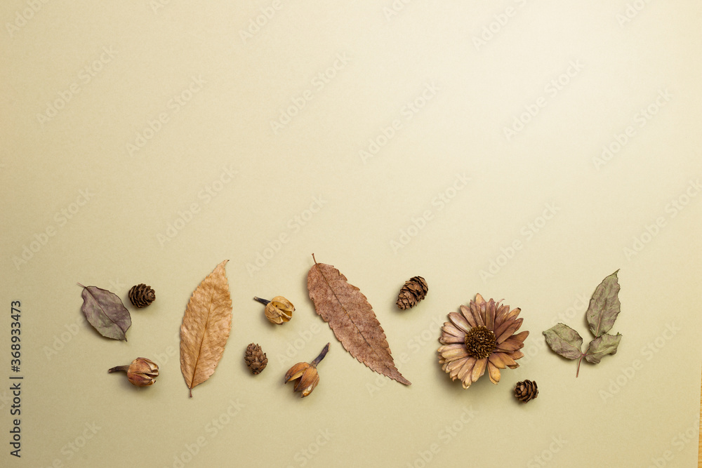 Obraz premium Autumn dry leaves on khaki brown background. flat lay, top view, copy space