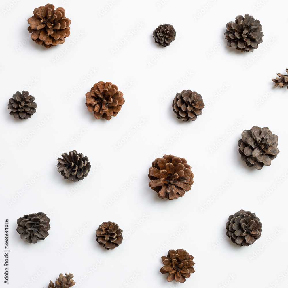 Autumn dry pine cones on white background. flat lay, top view Autumn dry pine cones on white background. flat lay, top view