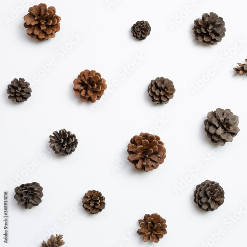Autumn dry pine cones on white background. flat lay, top view