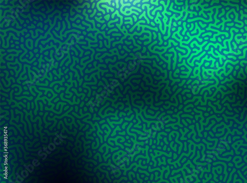 Generative algorithm psychedelic background. Reaction-diffusion or turing pattern formation.