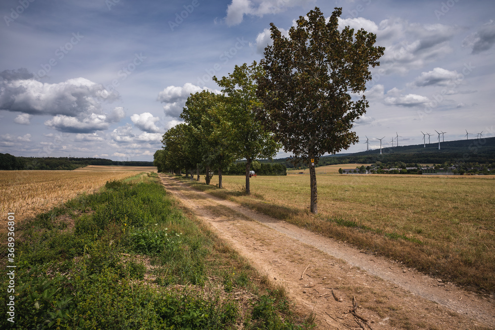 Fototapeta premium Alte Römerstraße