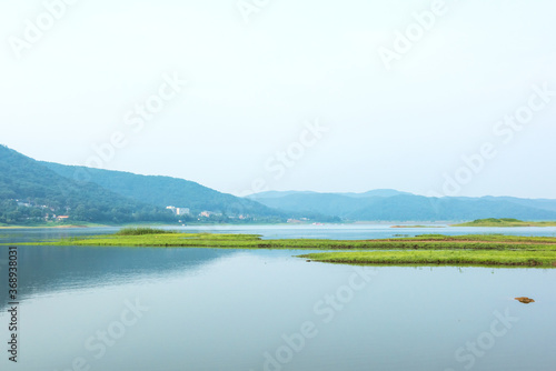 Peaceful and beautiful lake and green field background blue sky early summer morning landscape.