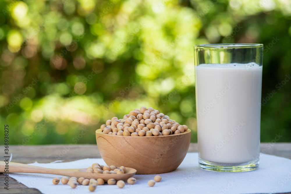Soybeans in wooden bowl and soy milk in glass on wood table.with blur nature background Soybeans in wooden bowl and soy milk in glass on wood table.with blur nature background