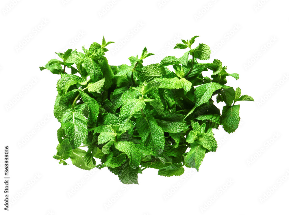 Fresh green mint on white background Fresh green mint on white background