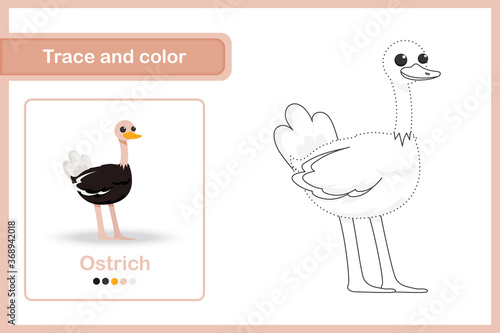 Drawing worksheet Trace and colour : Ostrich