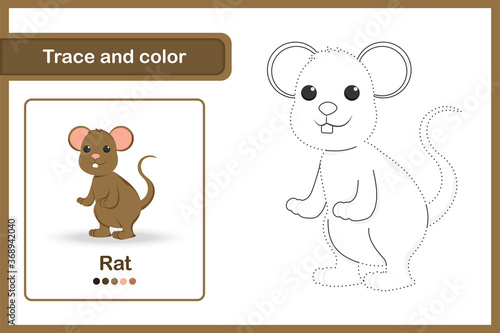 Drawing worksheet Trace and colour : Rat