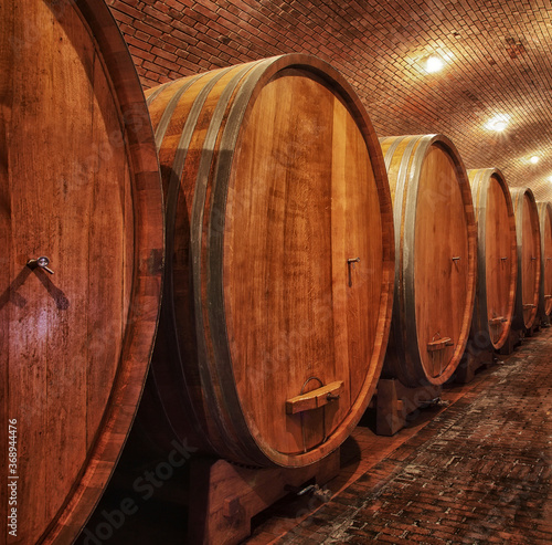 Wine barrels in wine-vaults in orde