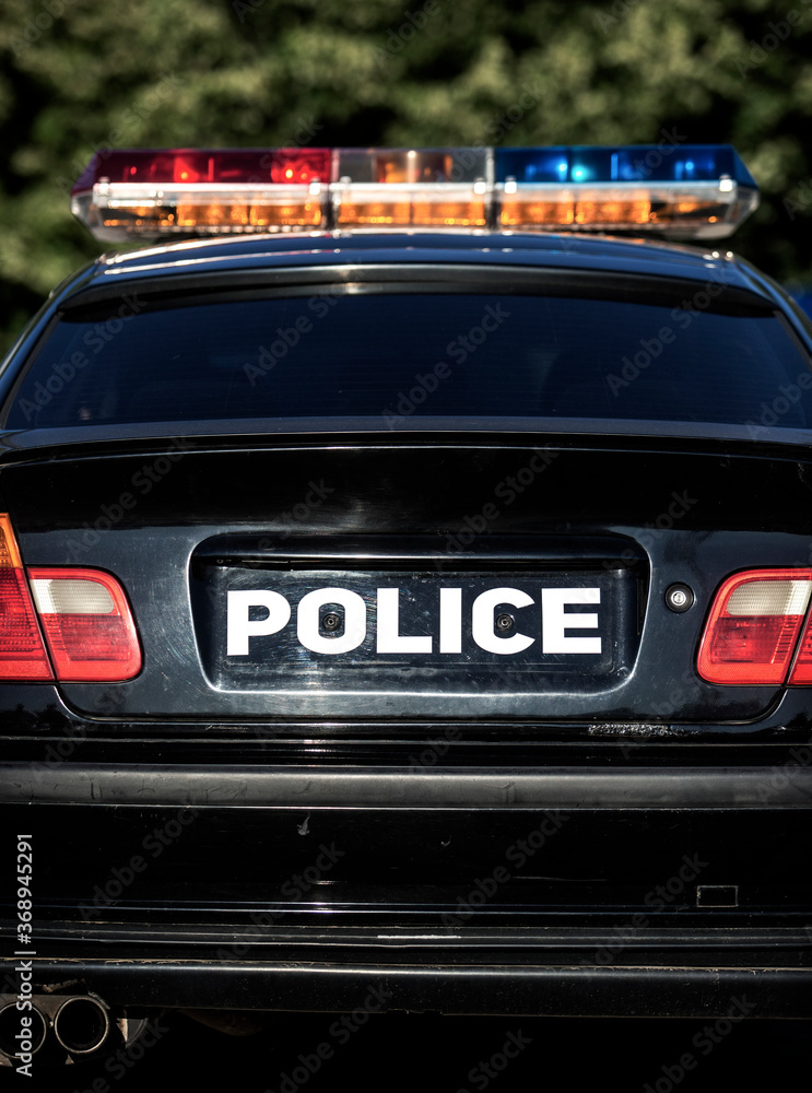 Naklejka premium Detail of american police car