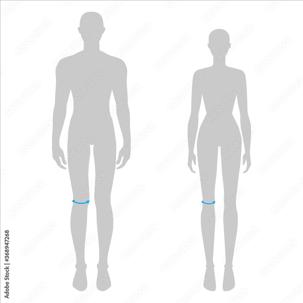 Women and men to do knee measurement fashion Illustration for size chart. 7.5 head size girl and boy for site or online shop. Human body infographic template for clothes. Women and men to do knee measurement fashion Illustration for size chart. 7.5 head size girl and boy for site or online shop. Human body infographic template for clothes.