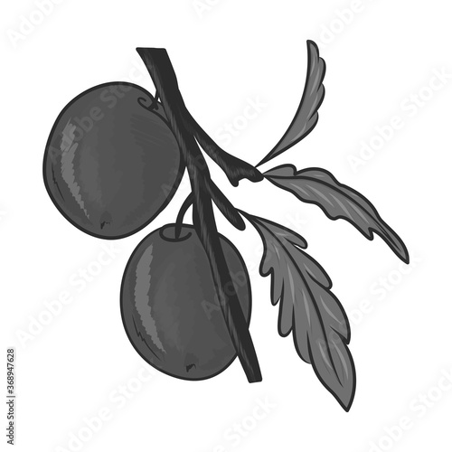 Plum. Vector graphic drawing. Close-up. There are black, white, gray shades. Drawn by hand. Can be used for websites, stickers, collages, magazines, children's books.
