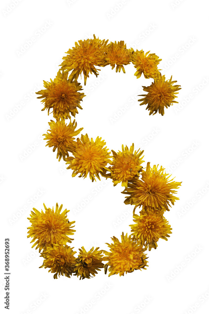 Uppercase letter S. From yellow spring flowers. On white background Uppercase letter S. From yellow spring flowers. On white background