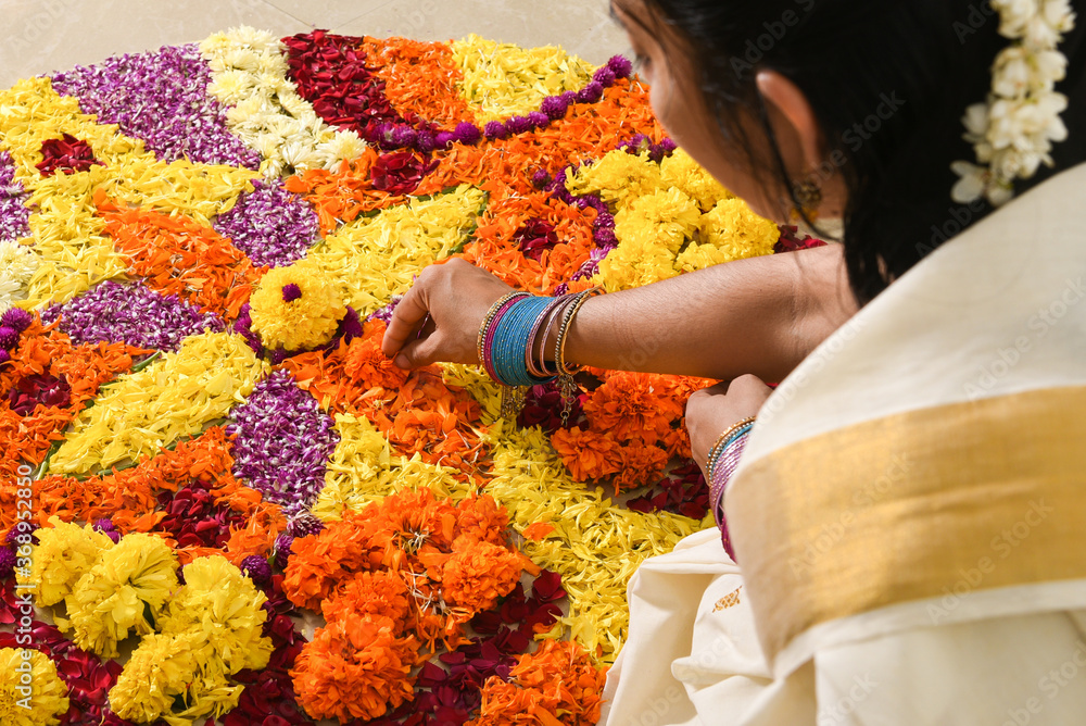 Kerala Onam festival, Indian woman putting Flower bed or Pookalam