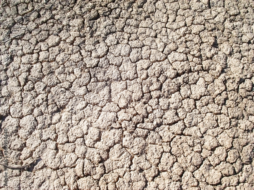 Dry land on the edge of the Kyzylkum desert, Uzbekistan. Dry land on the edge of the Kyzylkum desert, Uzbekistan.