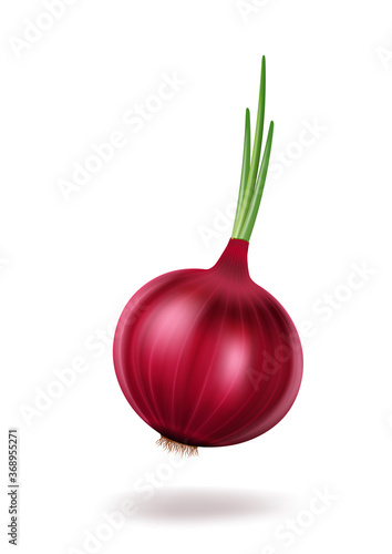 Red whole onion on white background, fresh vegetables, onion flavor.