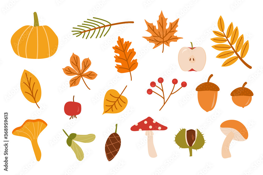 Autumn forest set. Collection of fallen leaves, fir cone, vegetables, berries, acorns, forest mushrooms isolated on white background. Colorful seasonal fall vector elements. Cartoon illustration. Autumn forest set. Collection of fallen leaves, fir cone, vegetables, berries, acorns, forest mushrooms isolated on white background. Colorful seasonal fall vector elements. Cartoon illustration.