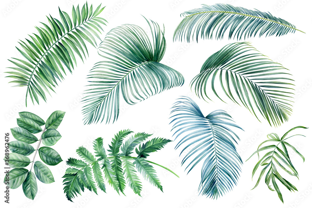 Set of green palm leaves on isolated white background, watercolor botanical illustration, summer clipart, hand drawing