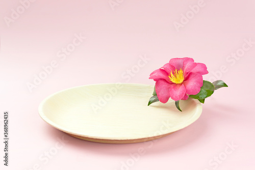 Wallpaper Mural Natural disposable plate with pink tropical flower Torontodigital.ca