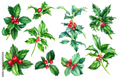 Holly branches. Christmas clipart watercolor, decorative elements.