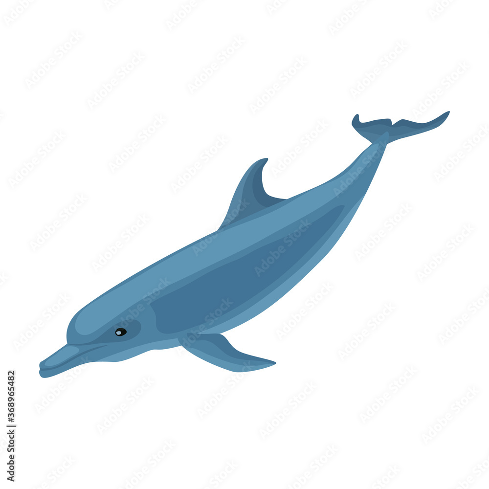 Fototapeta premium Dolphin vector icon.Cartoon vector icon isolated on white background dolphin.