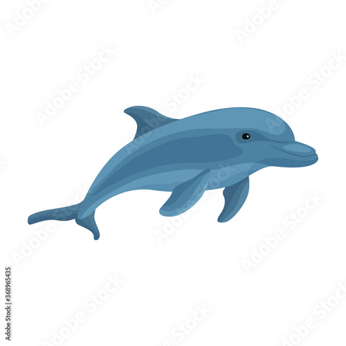 Dolphin vector icon.Cartoon vector icon isolated on white background dolphin.