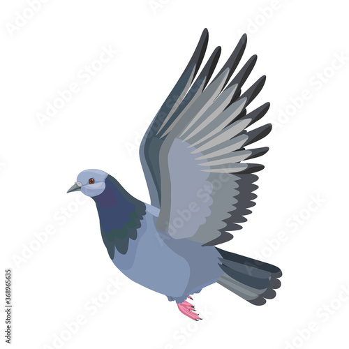 Pigeon vector icon.Cartoon vector icon isolated on white background pigeon. © VectorVicePhoto