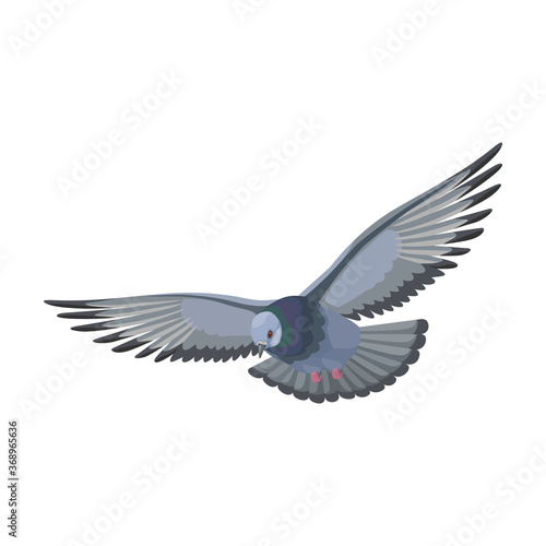 Dove vector icon.Cartoon vector icon isolated on white background dove. © VectorVicePhoto