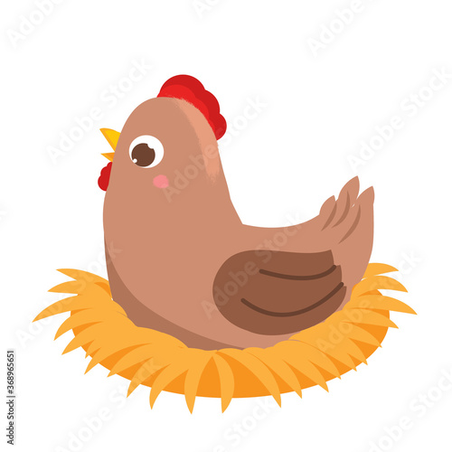 Cute hen on nest. Cartoon nesting bird isolated on white
