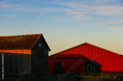 Resmo, Oland, Sweden  A farm landscape at dawn. photo