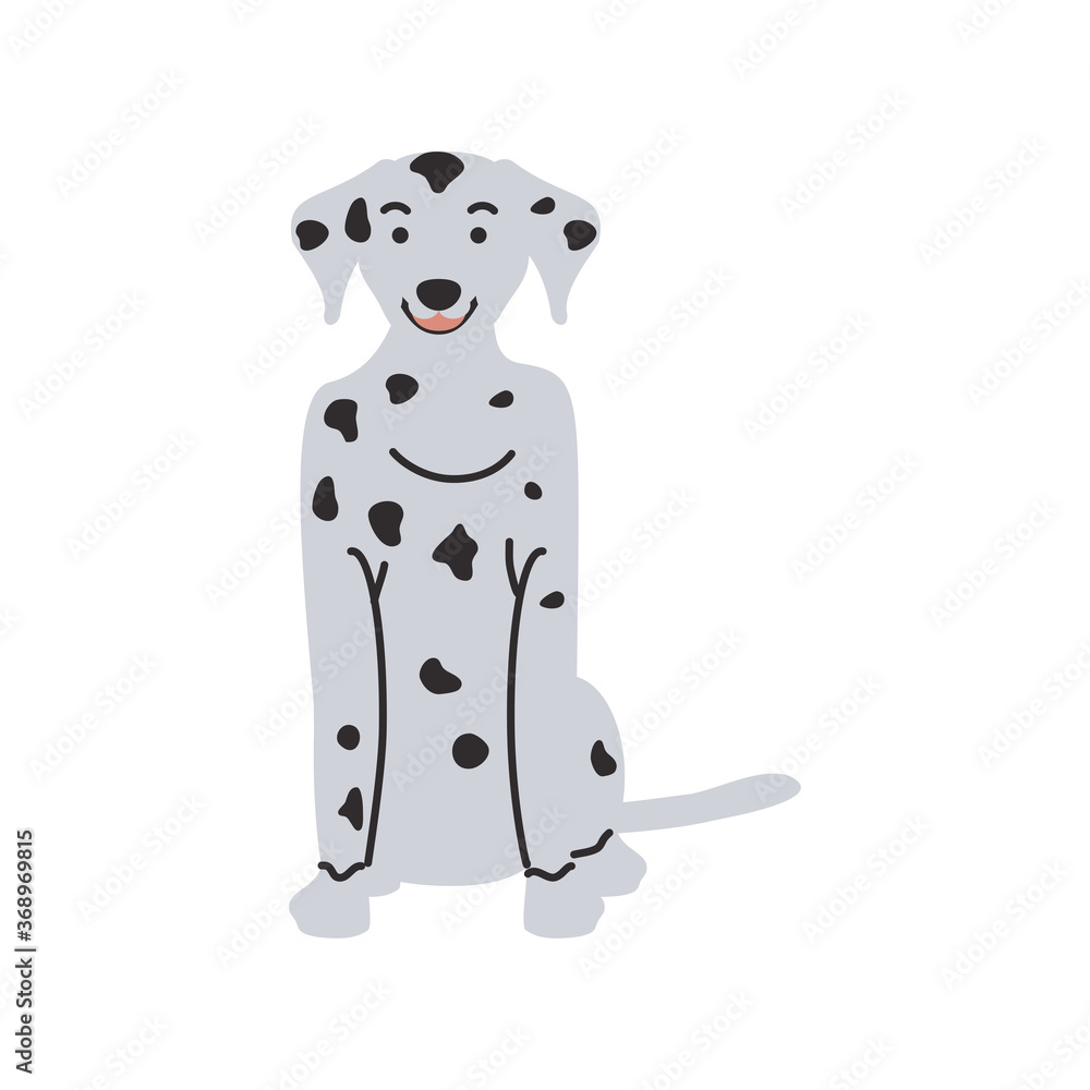 cute pet dog on white background cute pet dog on white background