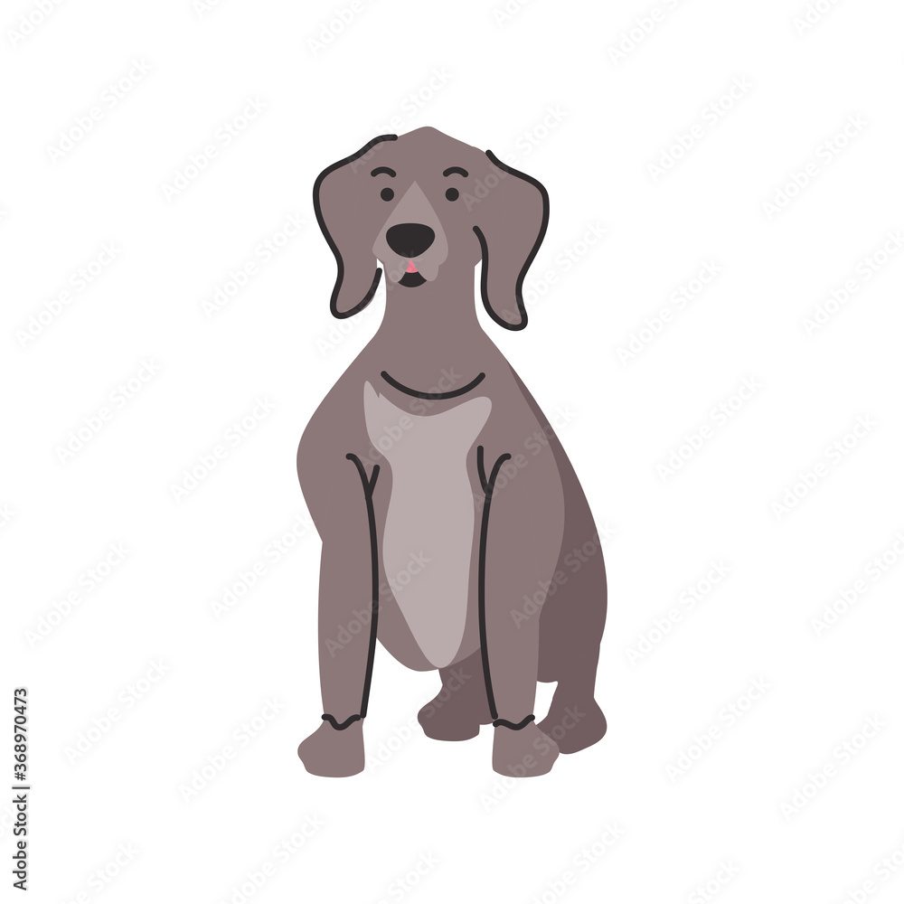 Fototapeta premium cute pet dog on white background