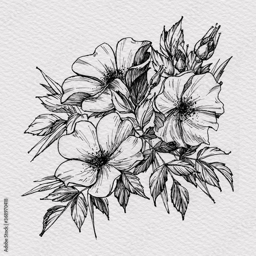 Tattoo branch of flowers. Branch of blooming dog rose. Floral illustration for tattoo, t-shirt design. Tattoo for forearm, thigh, back. Illustration on watercolor paper with texture