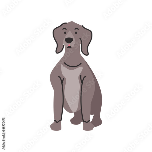 cute pet dog on white background