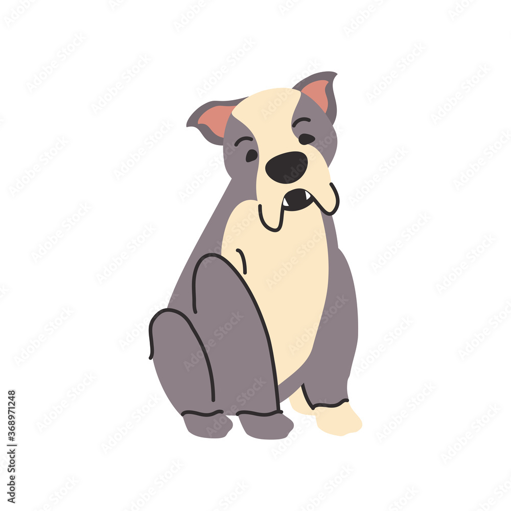 cute pet dog on white background cute pet dog on white background