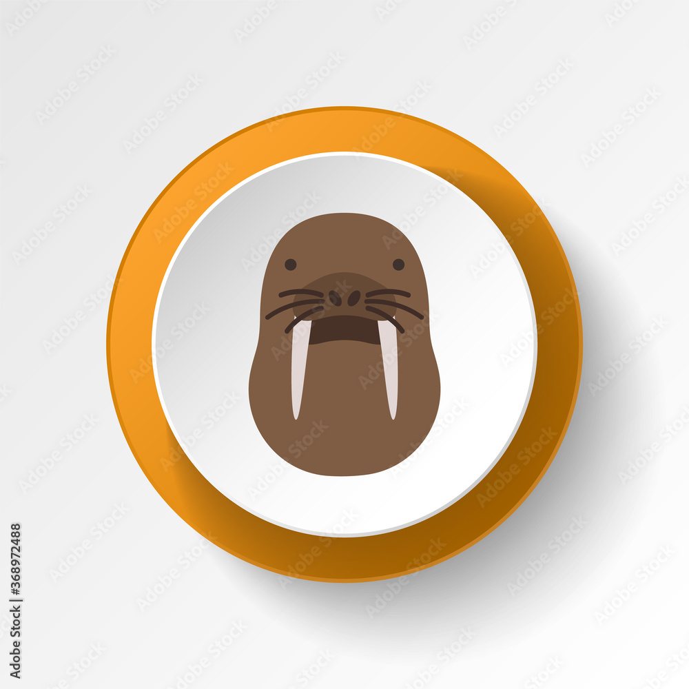 Walrus color icon. Elements of winter wonderland multi colored icons. Premium quality graphic design icon Walrus color icon. Elements of winter wonderland multi colored icons. Premium quality graphic design icon