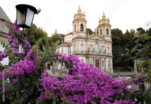 Flowers, with the Sanctuary of "Bom Jesus" in the back,  in Braga, Portugal © Elvis