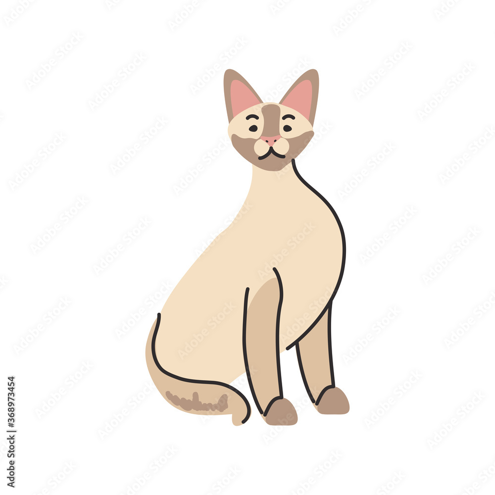 Fototapeta premium cute domestic cat on white background