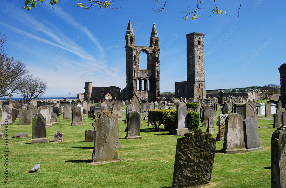 Fototapeta premium St Andrews Cathedral, Fife, Scotland