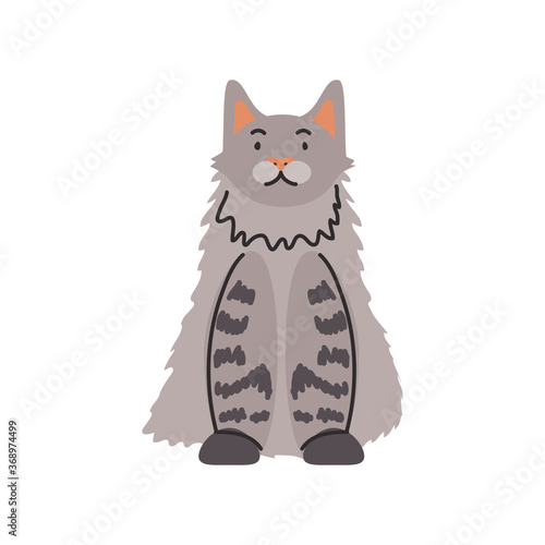 cute domestic cat on white background
