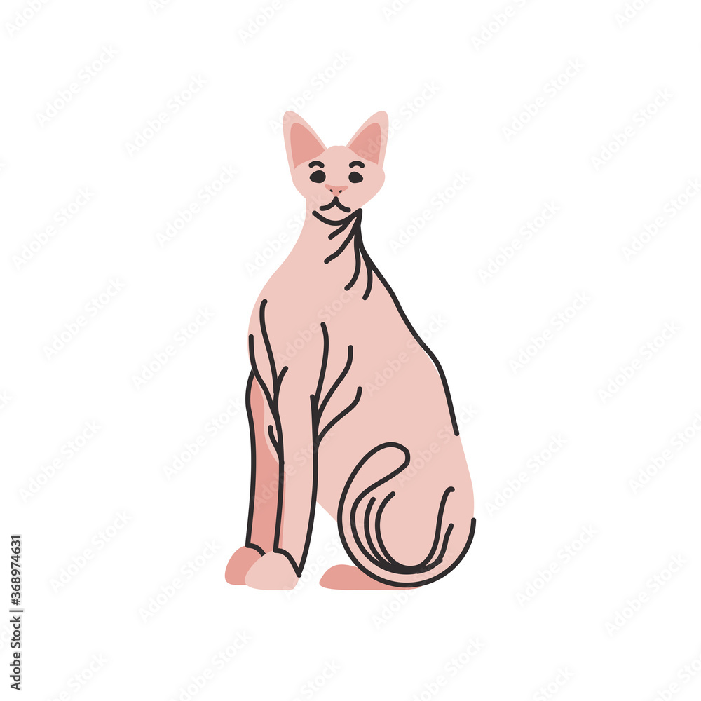 cute domestic cat on white background