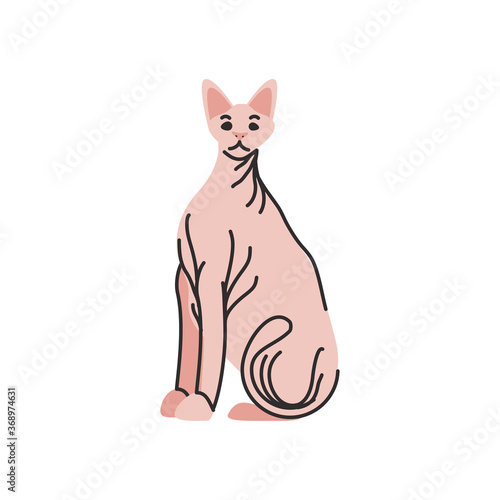 cute domestic cat on white background