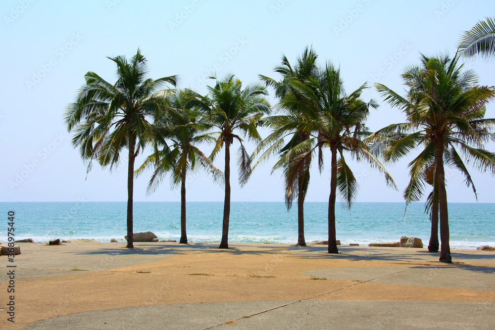 Palm and coconut trees on the beach at Rayong Thailand