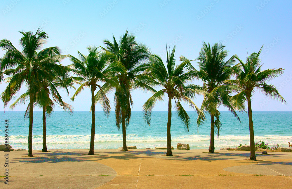 Fototapeta premium Palm and coconut trees on the beach at Rayong Thailand