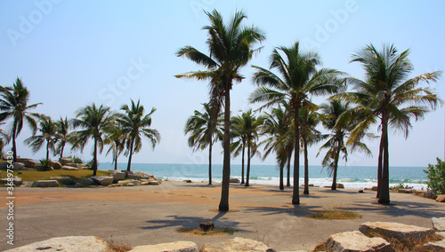Fototapeta Naklejka Na Ścianę i Meble -  Palm and coconut trees on the beach at Rayong Thailand