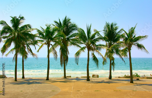 Palm and coconut trees on the beach at Rayong Thailand © supachai