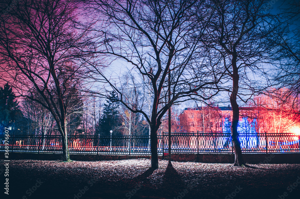 Obraz premium Night city park