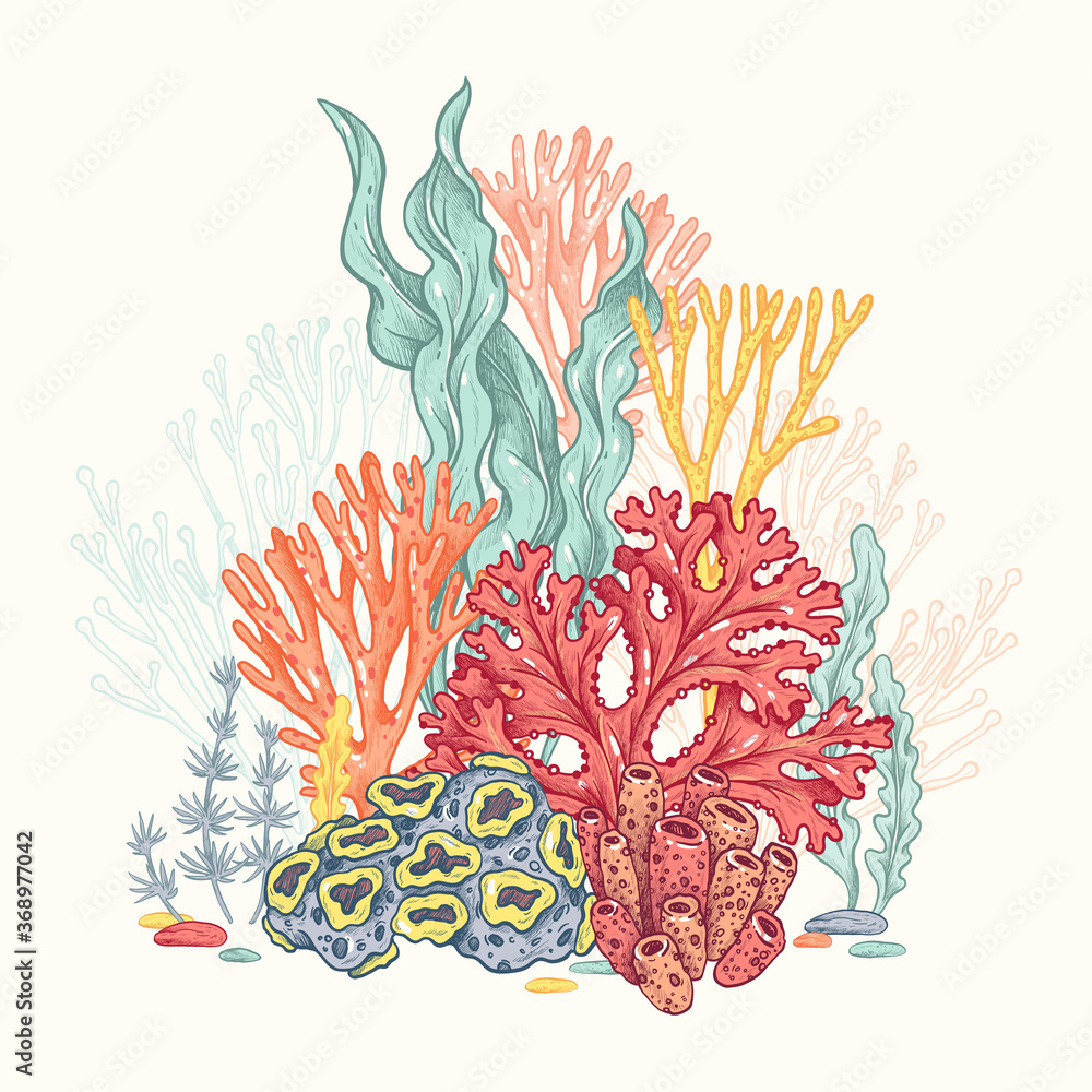 Vetor do Stock: Corals and seaweed. Vector Hand Drawn. Sketch Botanical ...