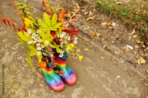 bouquet of yellow fallen leaves and flowers in rubber boots colorful rainbow color on the background of the autumn forest. Autumn concept, space for text, copy space.