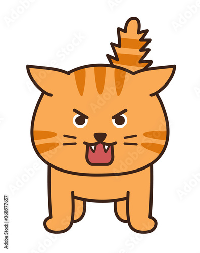Angry orange tabby cat stuck its tail up. Vector illustration isolated on white background.
