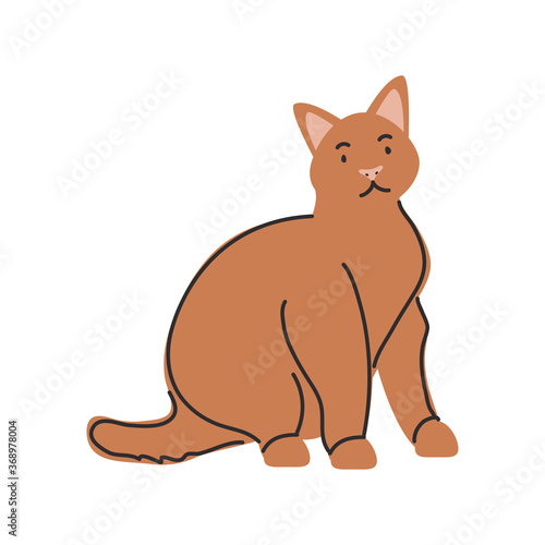cute domestic cat on white background